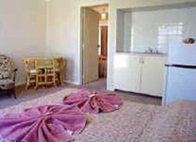 White Gum Motel Alice Springs Rum bild
